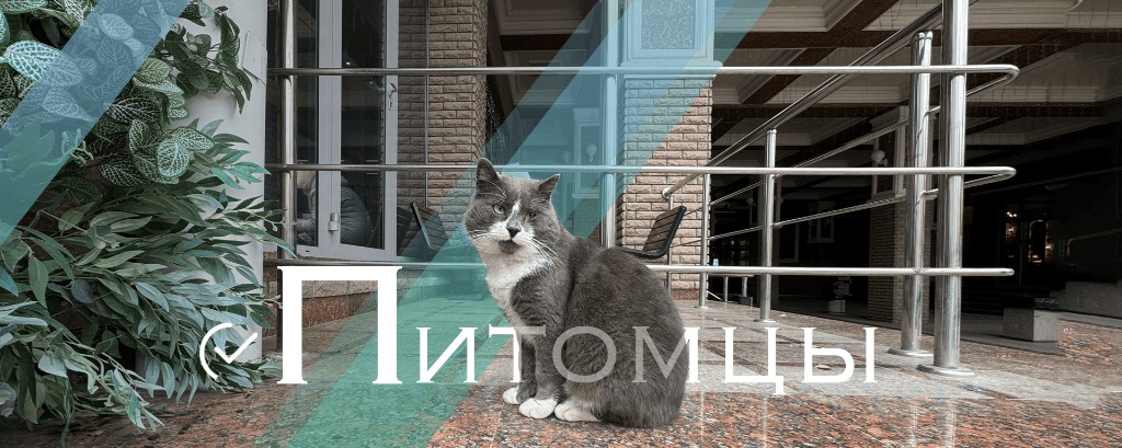 Питомцы Крыма